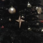 Christmas Star by norbikahu
