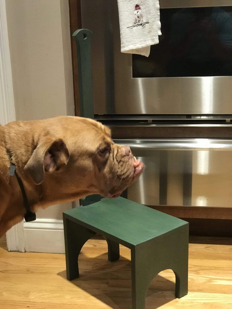 Ultra light (less than 3#) step stool dovetailed, made of pine with milk paint and water-based urethane finish. In the kitchen to reach the upper shelves. Photo bombed by dog!