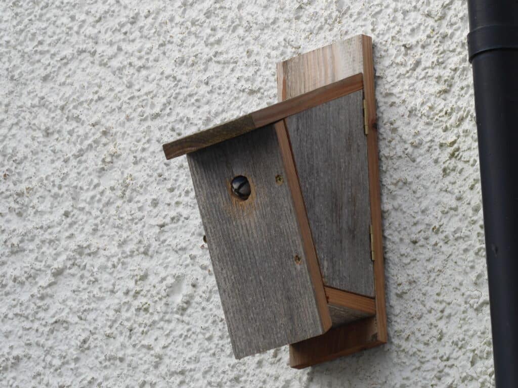 Nest Box Key Safe by Roger McLachlan